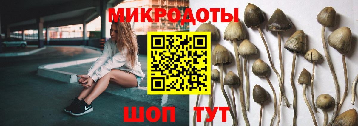 наркота  Вход с VPN  Кудымкар  Псилоцибиновые грибы Cubensis 